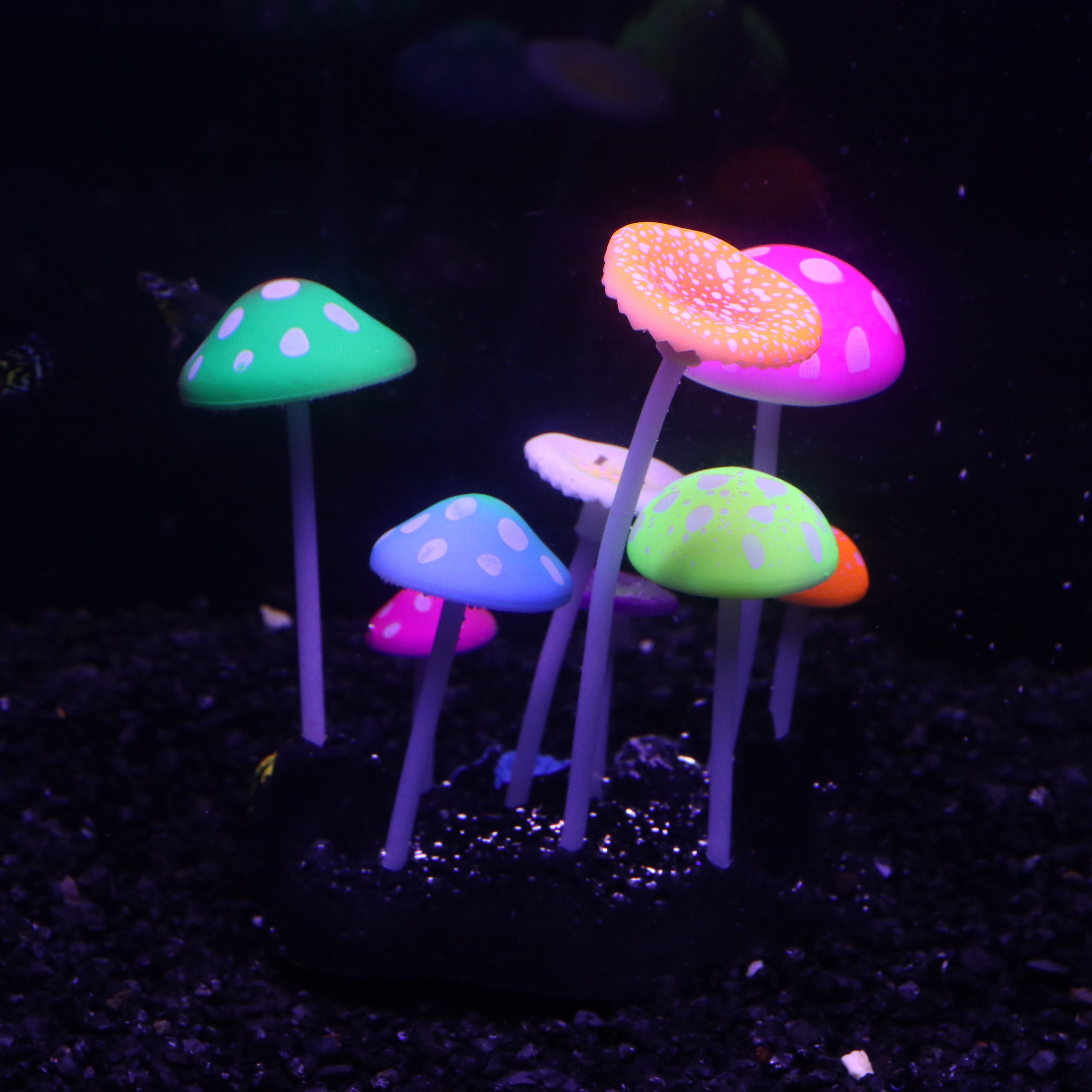 Aquarium small creative landscaping decorations luminous underwater plant aquarium fluorescent finger mushroom