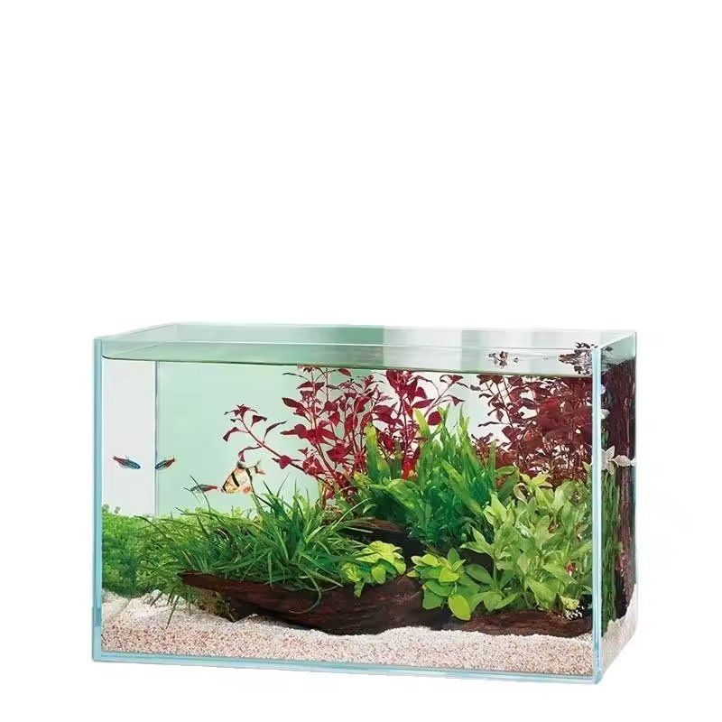 Sturdy Transparent Glass Aquarium for Small Animals Fish and Reptiles for Marine Creatures & Turtles