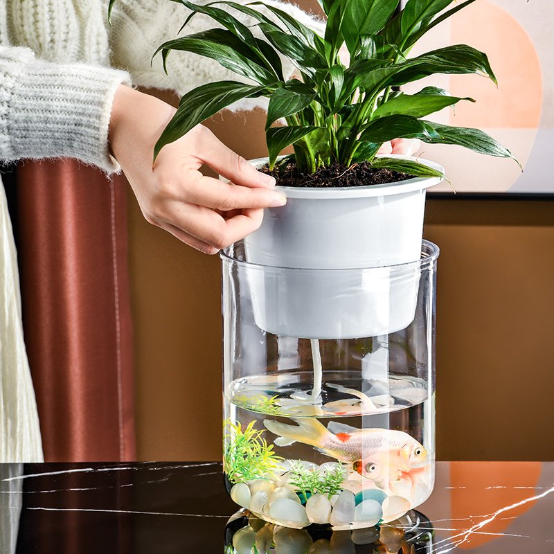Transparent Plastic Column Fish Tank Aquariums & Accessories