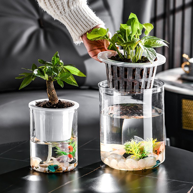 Transparent Plastic Column Fish Tank Aquariums & Accessories
