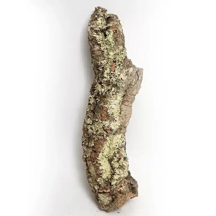 Aquarium Fish Tank Landscaping Natural Driftwood Champagne Bark