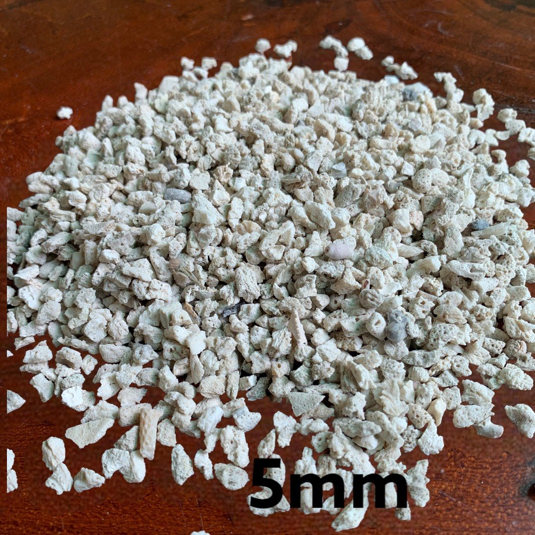 Vietnam, coral sand for aquarium, supplier for coral sand, coral sand for water filter aquarium 5mm