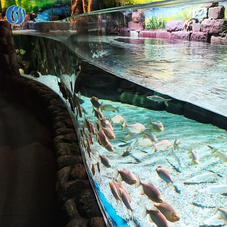 Lesheng Factory Customized Clear 200 Gallon Large Acrylic Super Professional Marine Cylindrical Acrylic Aquarium Panel