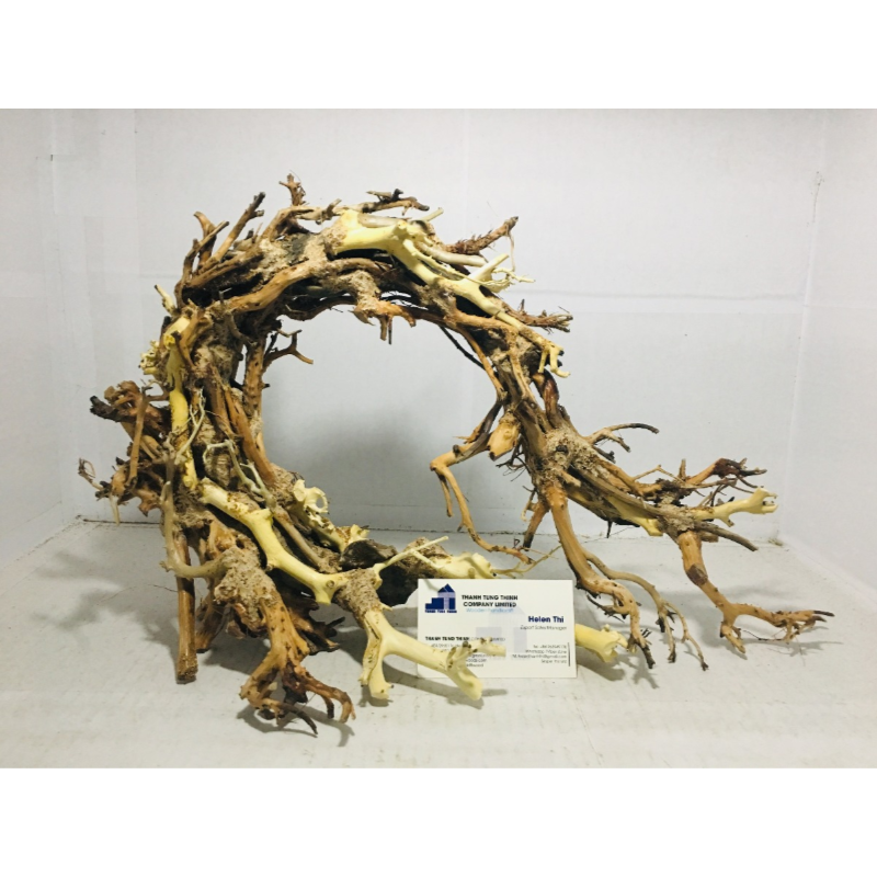 Hot Items 2024 New Design Driftwood bonsai for Aquarium & Fish tank decoration from Vietnam WhatsApp: +84 961005832