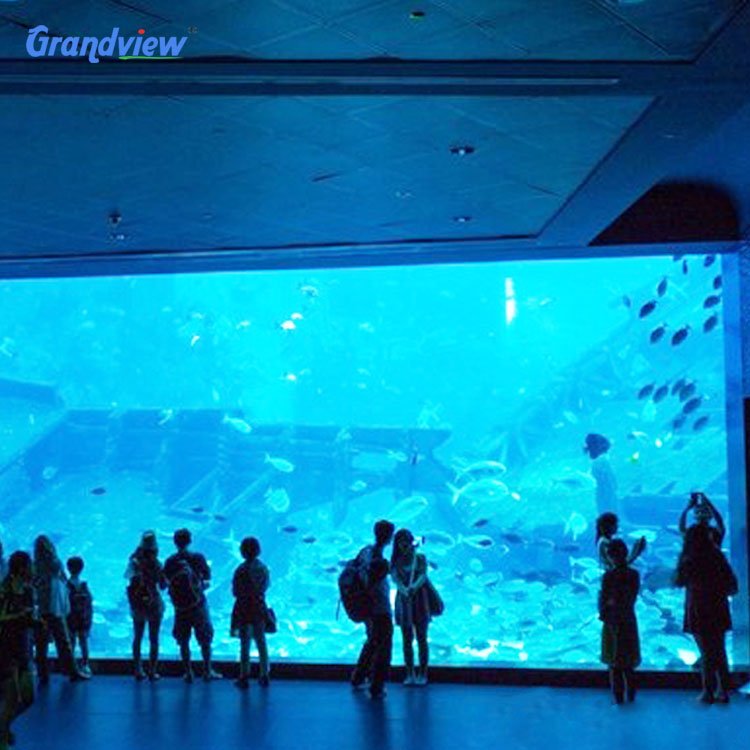 large acrylic aquarium acrylic aquarium big cylinder acrylic aquarium fish tank