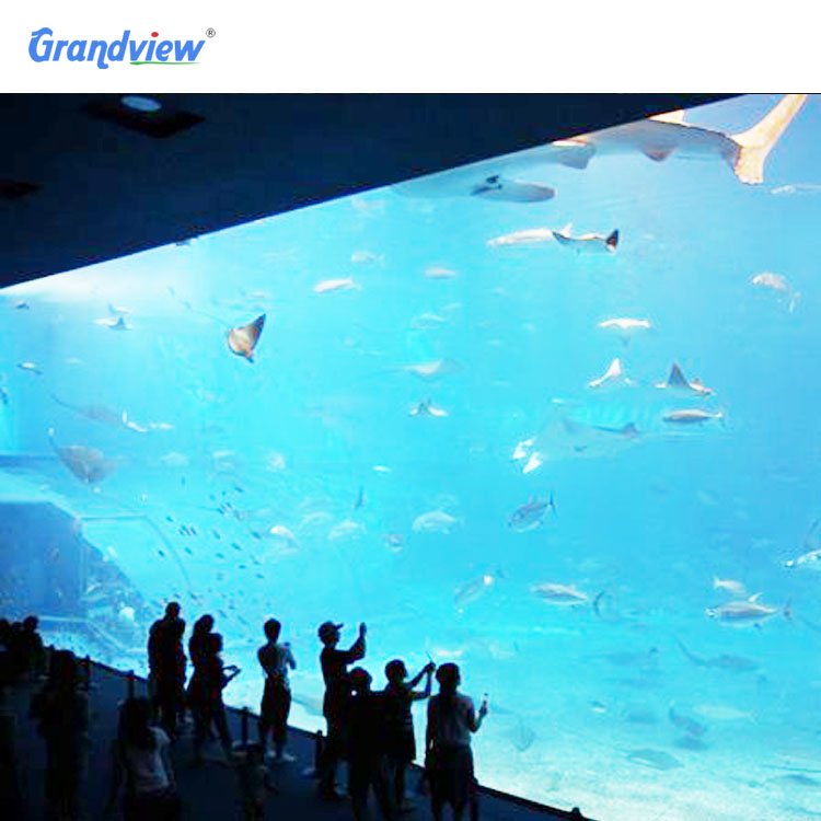 large acrylic aquarium acrylic aquarium big cylinder acrylic aquarium fish tank
