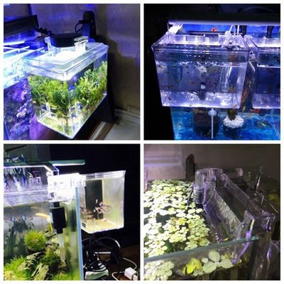 Dophin BB10 BB11 Plastic Acrylic External Incubator Isolation Box with Water Pump External Algae Tank Fish Aquarium Accessory