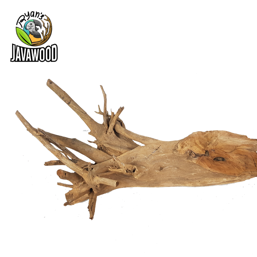 100% Natural Aquascape Bonsai Malaysian Crownwood Aquarium Tank Home Decorative Aquascaping Wood Vivarium Decoration