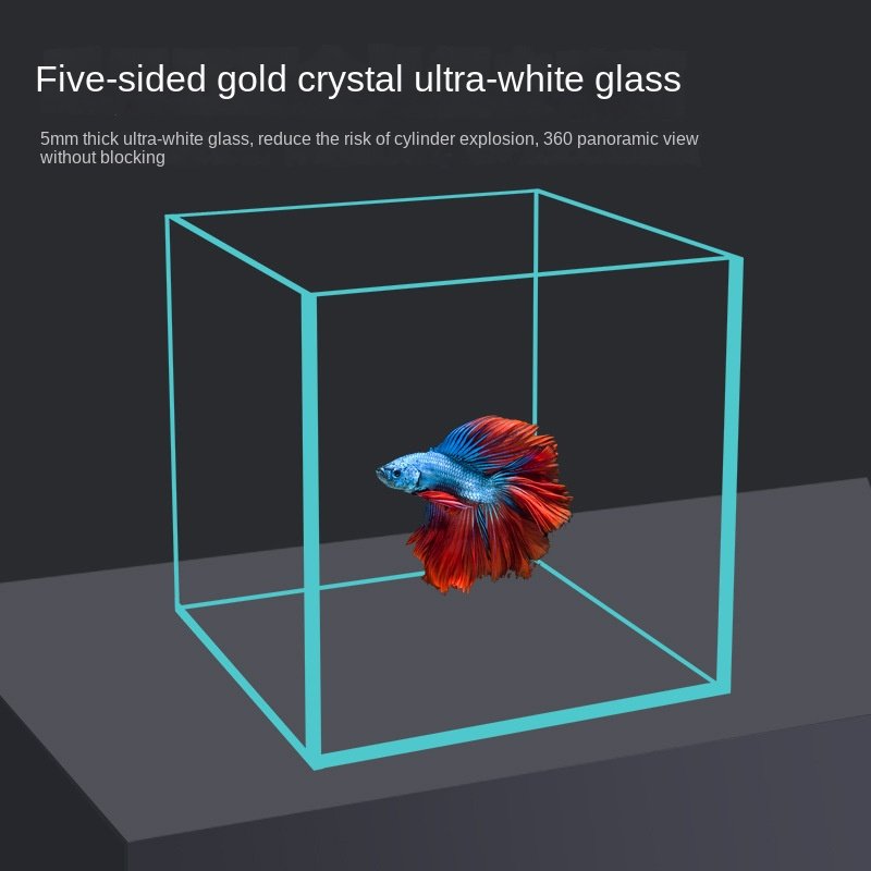 High Quality Small Aquarium for Bettas Cylinder Glass and Plastic Stocked with Water Pumps Limited Stock