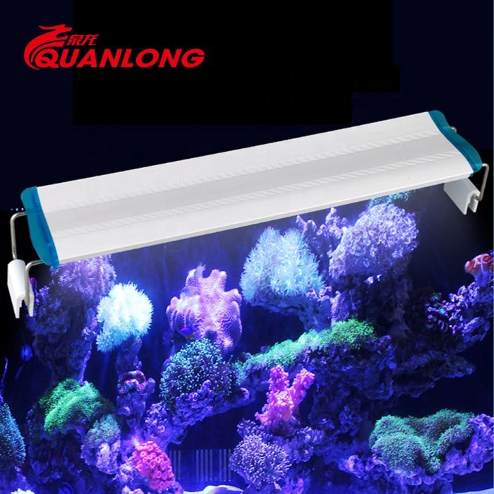 Quanlong fish tank lamp reef light led aquarium full spectrum marine aquarium lights for live plant tank