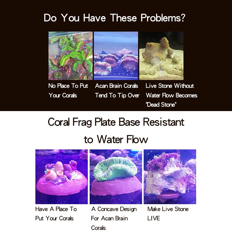 Fish Tank Supplies Live Soft Corals Live Stone Base For Aquarium Decoration