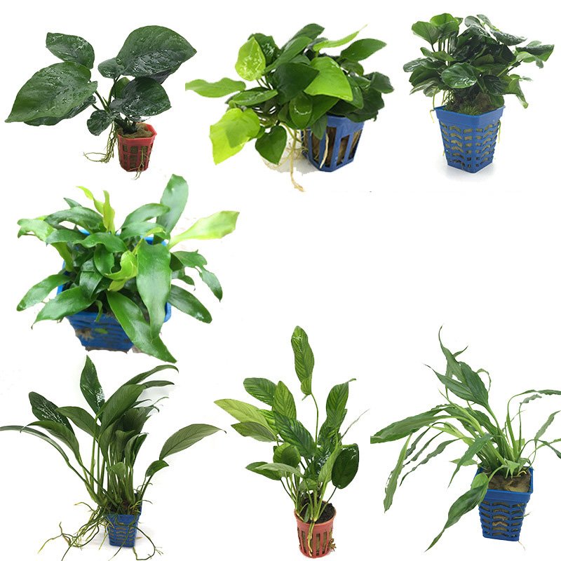 Aquarium Fish Tank Green Lifelike Underwater Plant Aquatic Water Grass Decor