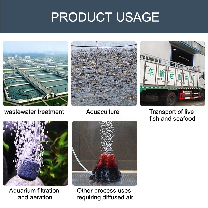 Wholesale ozone aeration stone aquaculture hydroponics fish farm oxygen CO2 bubble diffuser ceramic aquarium air stone