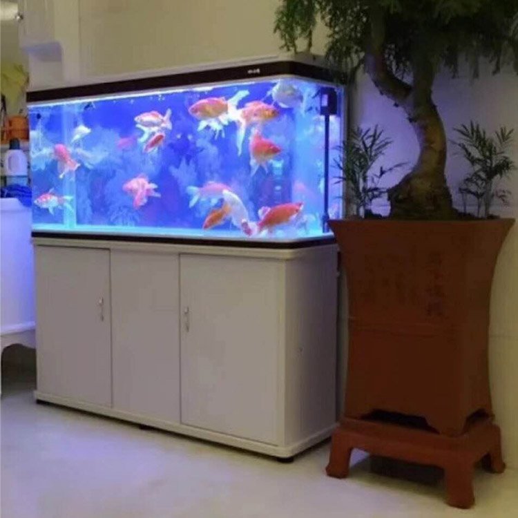 Wholesale Hight Quality Large Size Aquarium Fish Tank