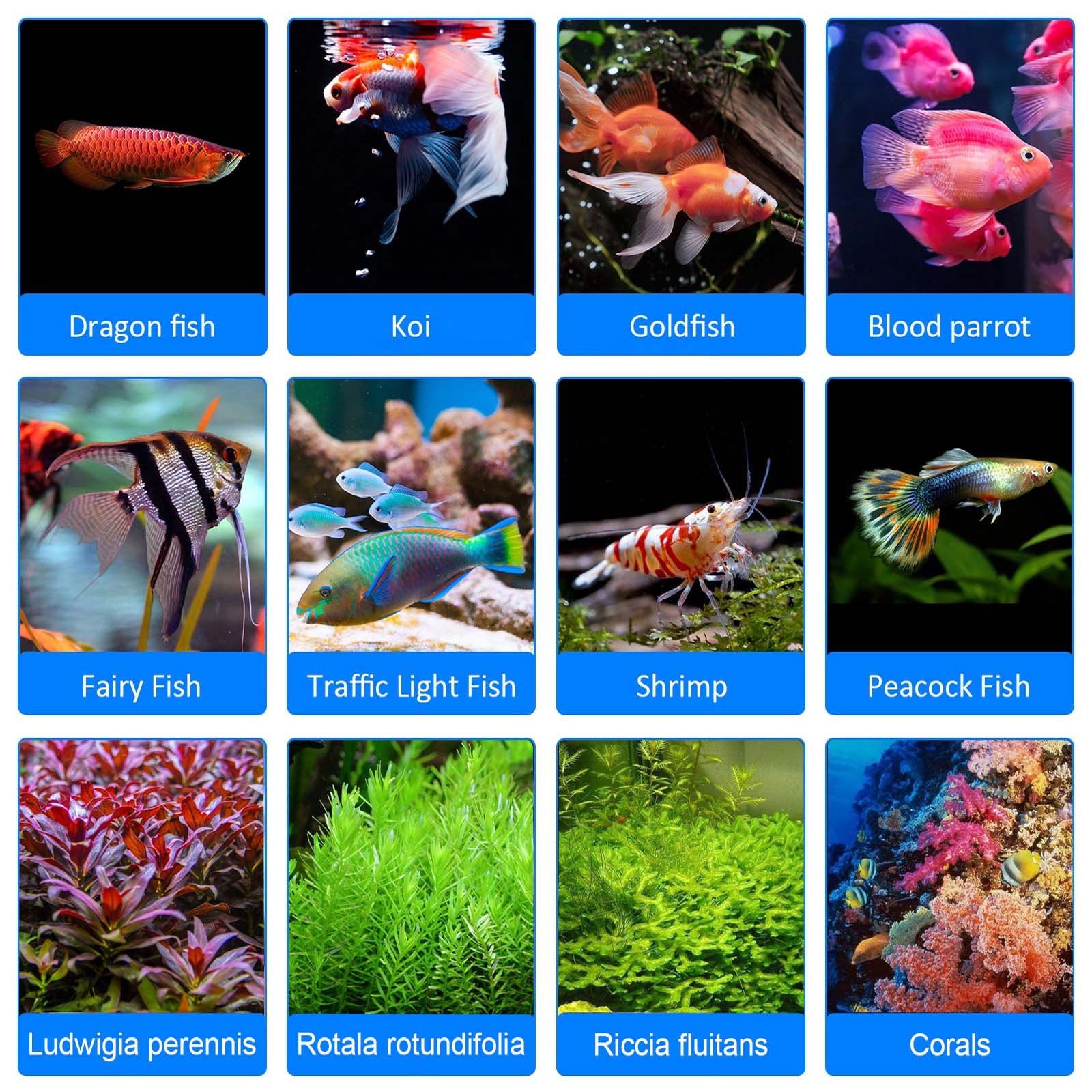 Liweida 8/10/12H timing lights fish tank light led aquarium 60 90 120 150 cm bar grow light dimming led aquarium lamp
