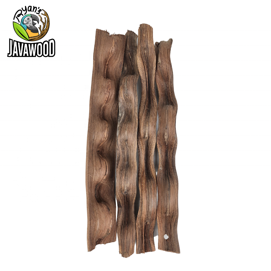 Central Java Indonesian Indoor Outdoor Organic Home Decoration Lima Root Wacky Wood Vines for Reptile Climbing