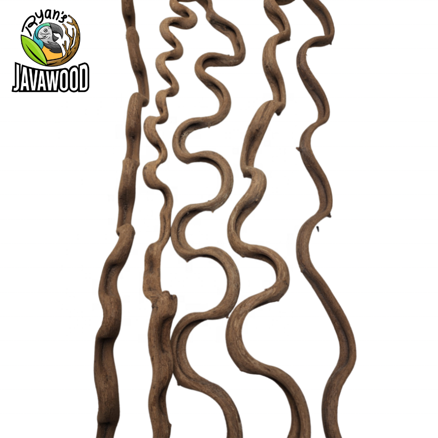 Central Java Indonesian Indoor Outdoor Organic Home Decoration Lima Root Wacky Wood Vines for Reptile Climbing