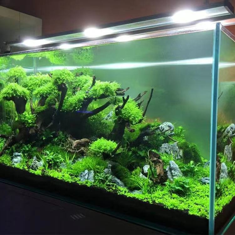 Aqua Soil Substrate for Natural Planted Aquarium, Plant or Shrimp Stratum, Clay Gravel and Stable Porous Substrate