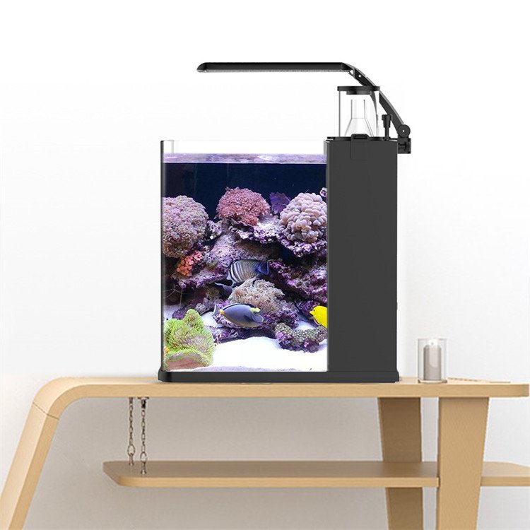 Ultra Clear Glass Mini Salt Water Marine Aquarium Fish Tank For Marine
