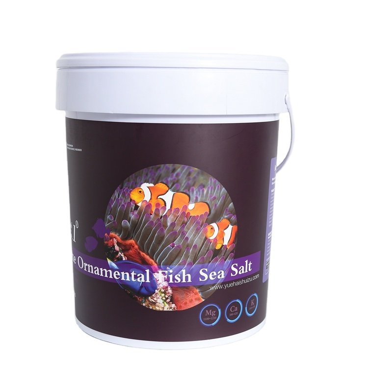 Professional Factory Supplier High Quality saltwater Large aquarium Products live Marine ornament fish Sea Salt