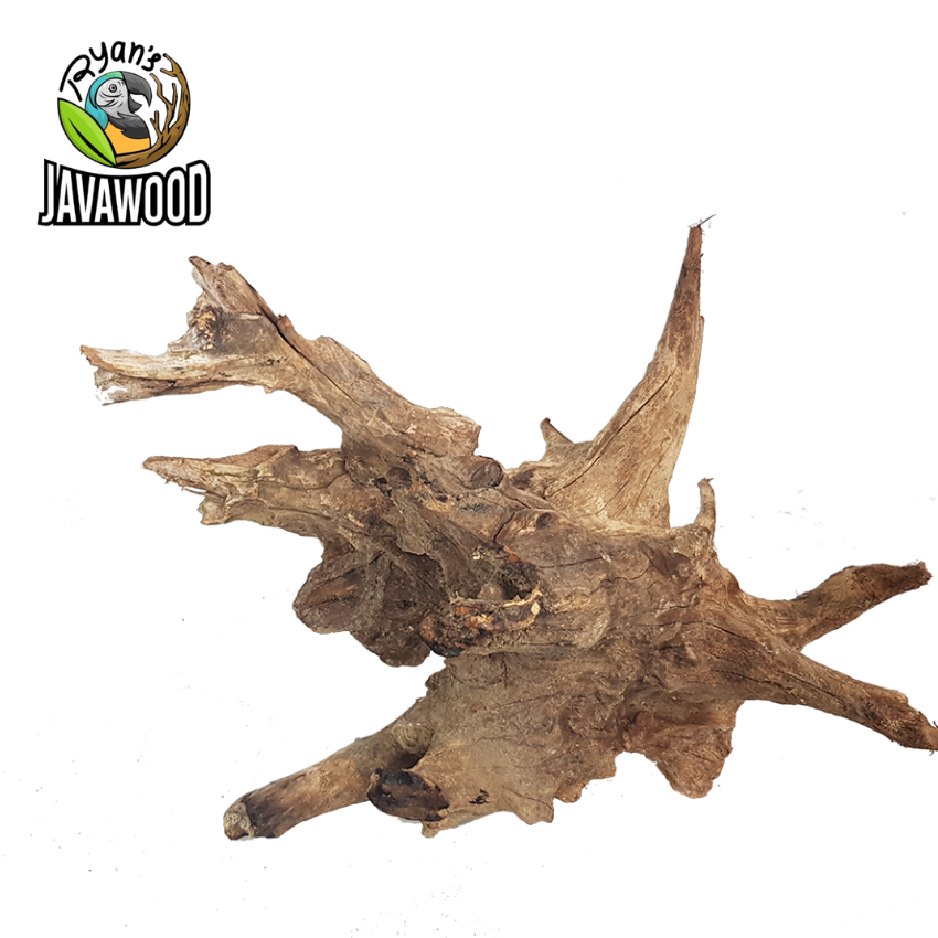 Factory Direct Fish Tank Aquascape Bonsai Tree Root Crownwood Ornament Aquarium Decoration from Central Java Indonesia
