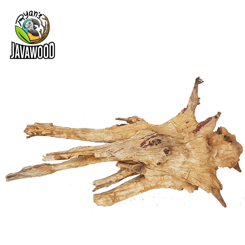 Factory Direct Fish Tank Aquascape Bonsai Tree Root Crownwood Ornament Aquarium Decoration from Central Java Indonesia