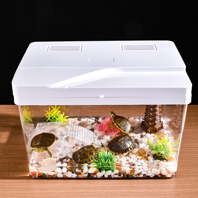 High-Definition Transparent Flip Fish Tank Micro-View Ecological Landscaping Aquarium with Special Tortoise Tank
