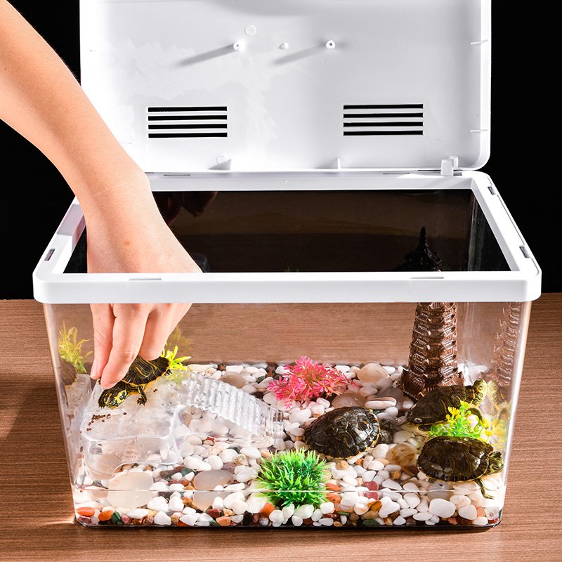 High-Definition Transparent Flip Fish Tank Micro-View Ecological Landscaping Aquarium with Special Tortoise Tank