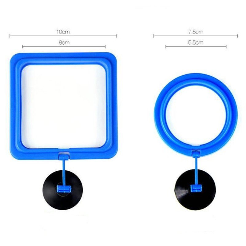 Aquarium fish feeding ring, plant floating feeding station