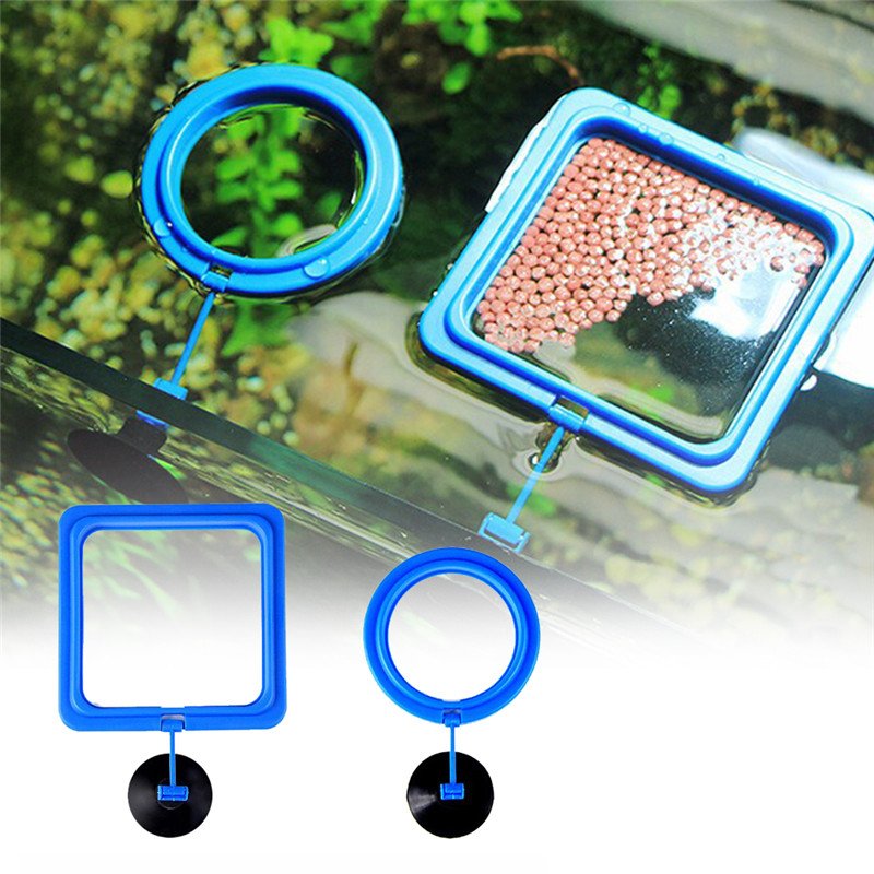 Aquarium fish feeding ring, plant floating feeding station