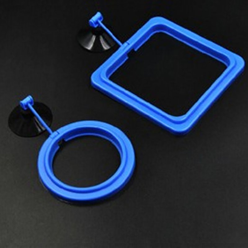 Aquarium fish feeding ring, plant floating feeding station