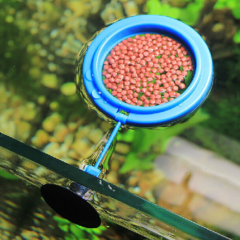 Aquarium fish feeding ring, plant floating feeding station