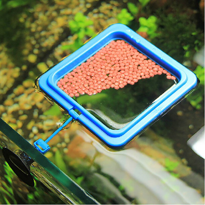 Aquarium fish feeding ring, plant floating feeding station