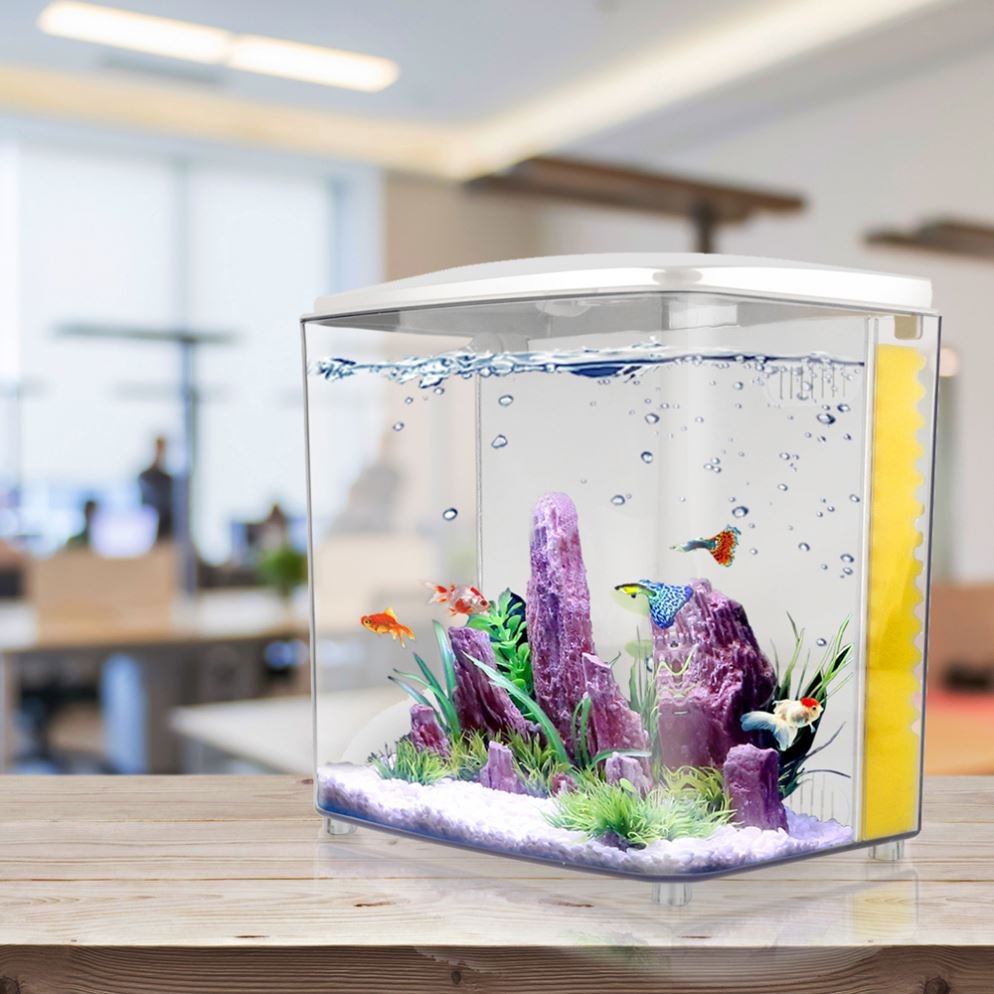 Freesea Large Glass Aquarium Fish Tank