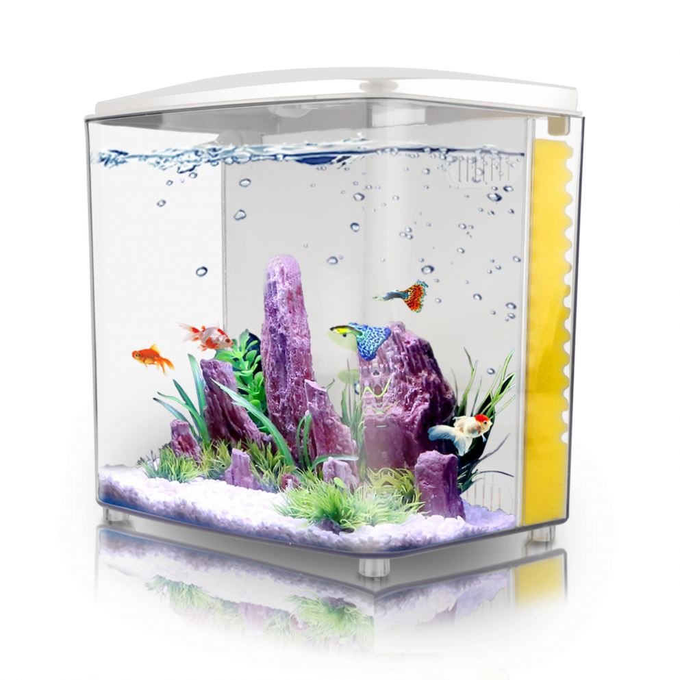 Freesea Large Glass Aquarium Fish Tank