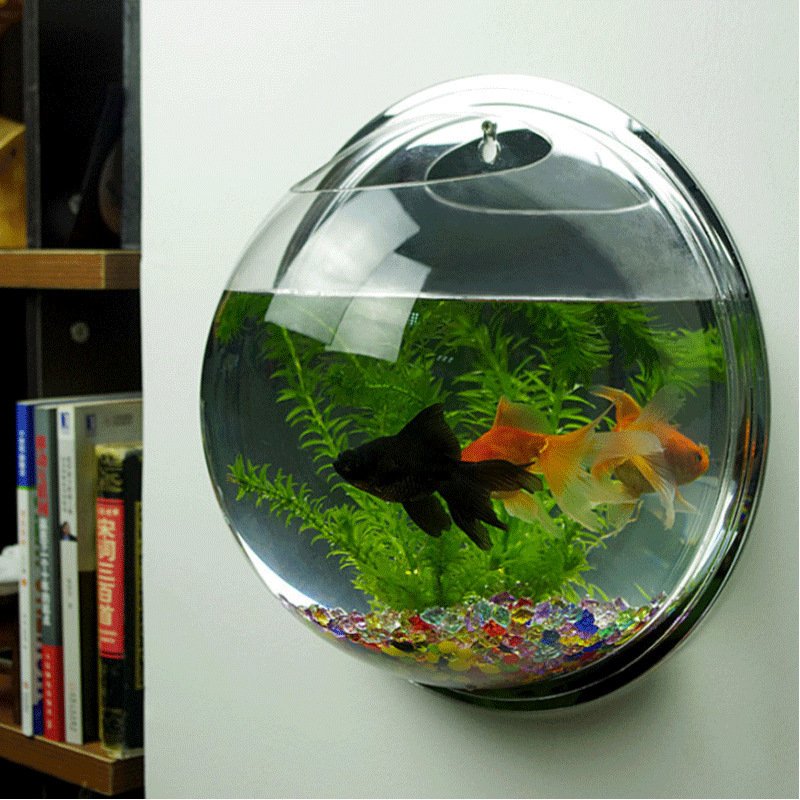 Round Clear Acrylic Fish Tank Wall Mount Acrylic Aquarium Fish Tank Mini Acrylic Fish Tank Aquarium