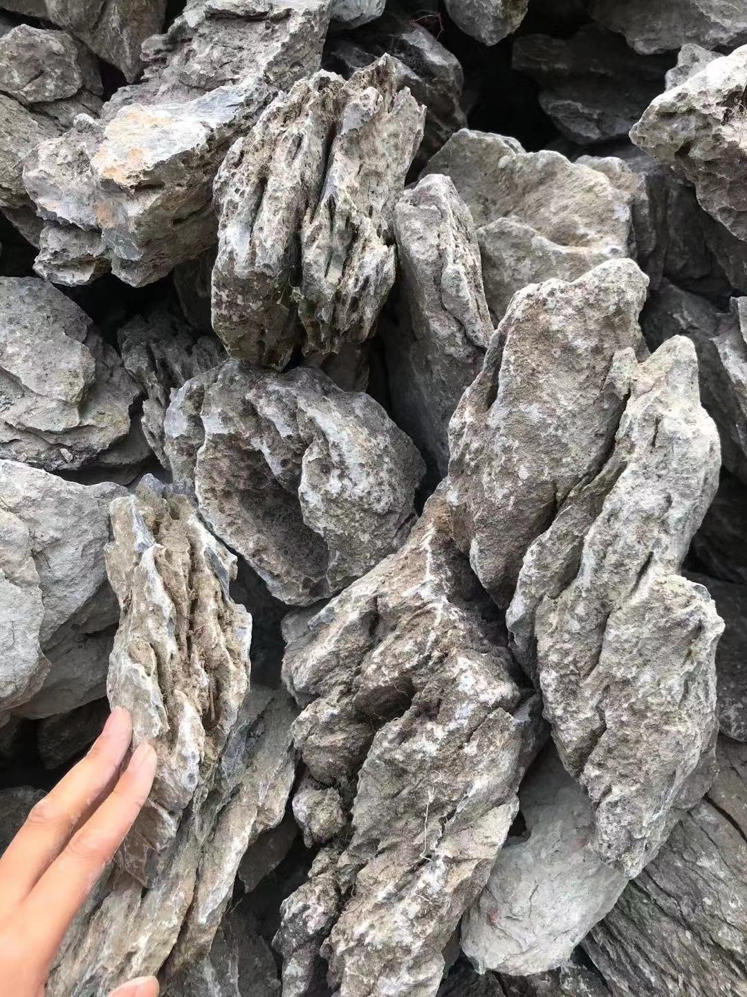 Seiryu Rock Stone for Aquariums, Landscaping Model,Tank Decoration