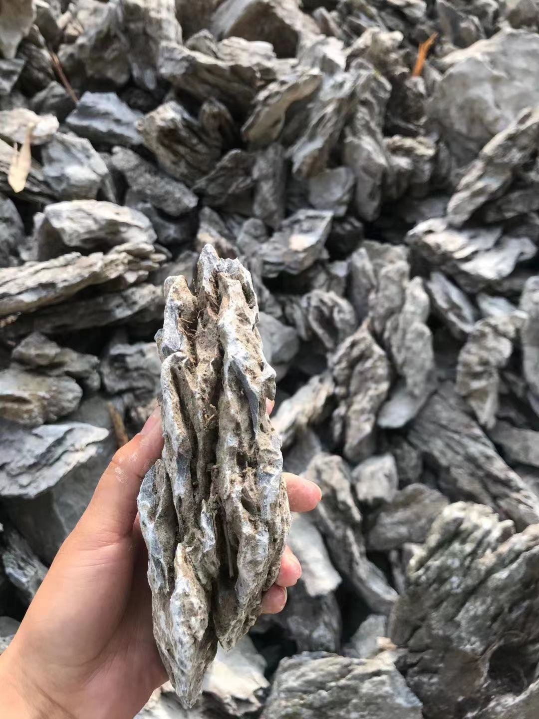 Seiryu Rock Stone for Aquariums, Landscaping Model,Tank Decoration