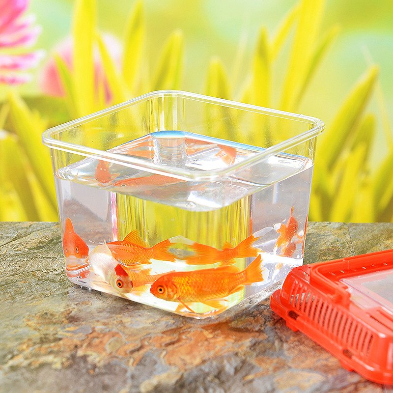 Mini Portable Plastic Fish Tank with Goldfish Small Aquarium Accessories Wholesale Usage for Water
