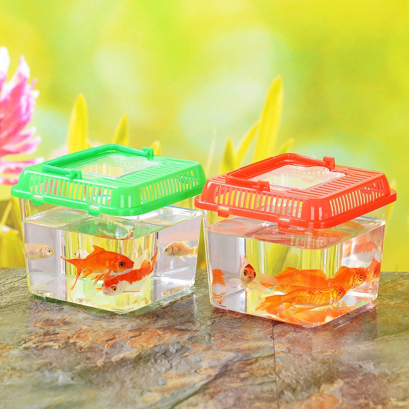 Mini Portable Plastic Fish Tank with Goldfish Small Aquarium Accessories Wholesale Usage for Water