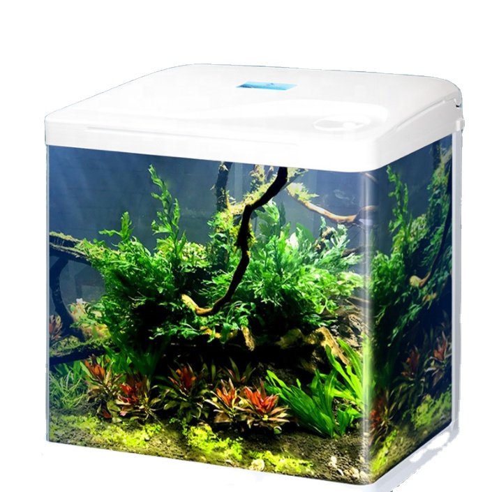 Wholesale Custom Glass Small Aquarium Fish Tank Modern Home Office Bar Counter Decorated Fish Tank Aquarium