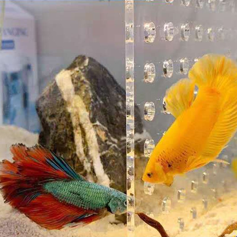 Aquarium Fish Tank Divider Isolation Board Plastic Aquarium Panel Separator