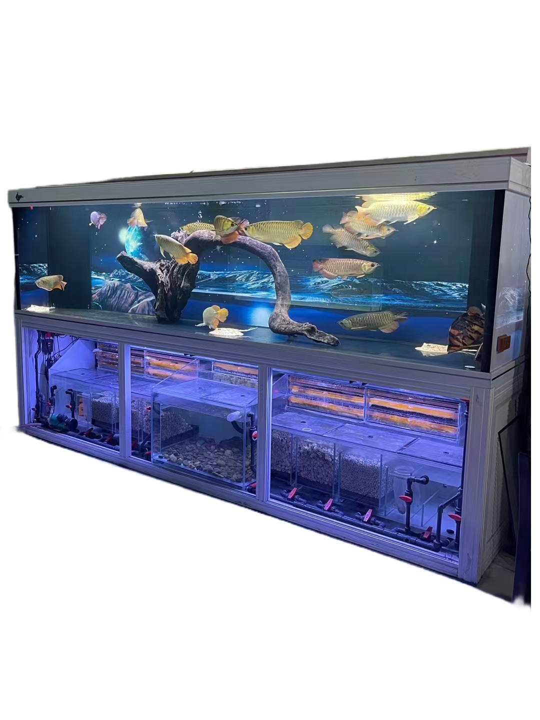 custom wholesale high quality white glass aquarium arowana cabinet Wholesale Fish Tank Aquarium