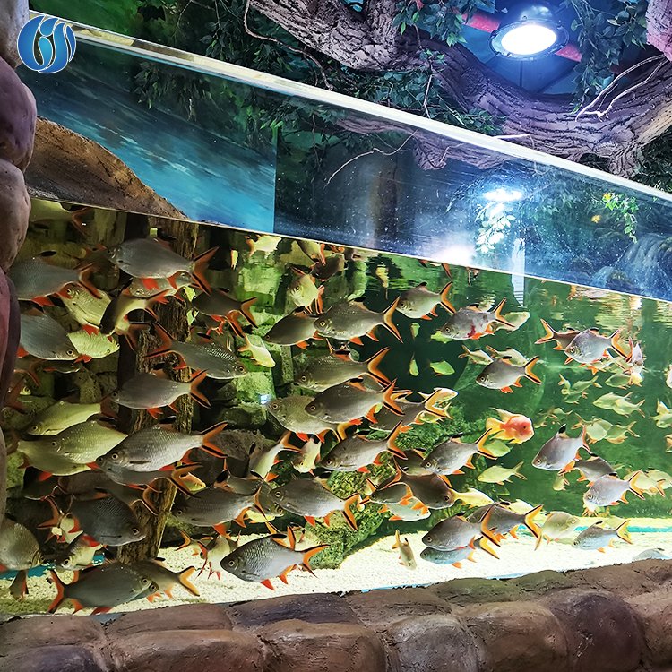 Lesheng New Products Outdoor Cylindrical Acrylic Aquarium, Factory Customized Outdoor Large Acrylic Fish Tank