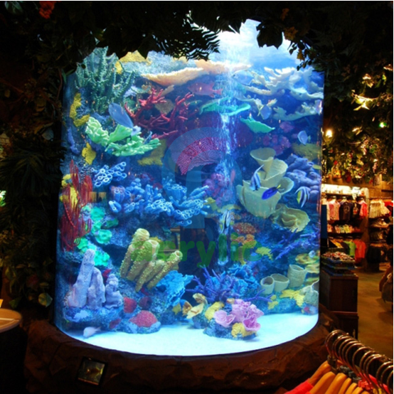 aquarium cylinder fish tank