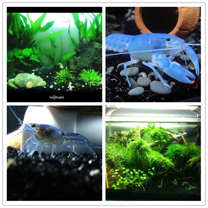 natural black gravel sand for aquarium decoration