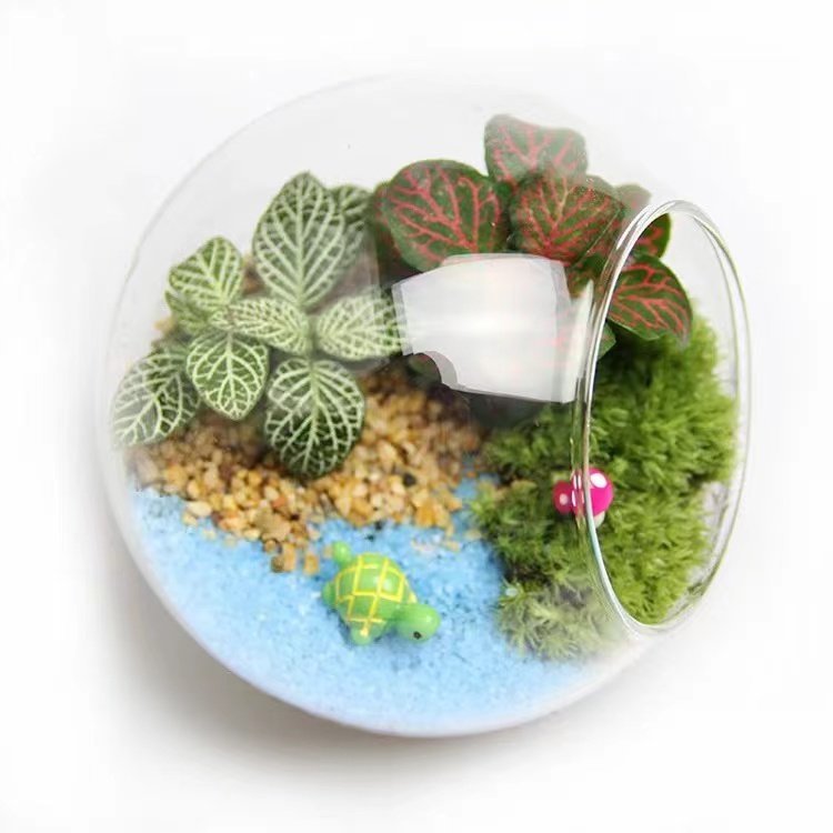 Plastic Fish Tank Clear Acrylic Small Desk Aquarium for Pond Custom Volume round or Square Shape for Saltwater Aquariums