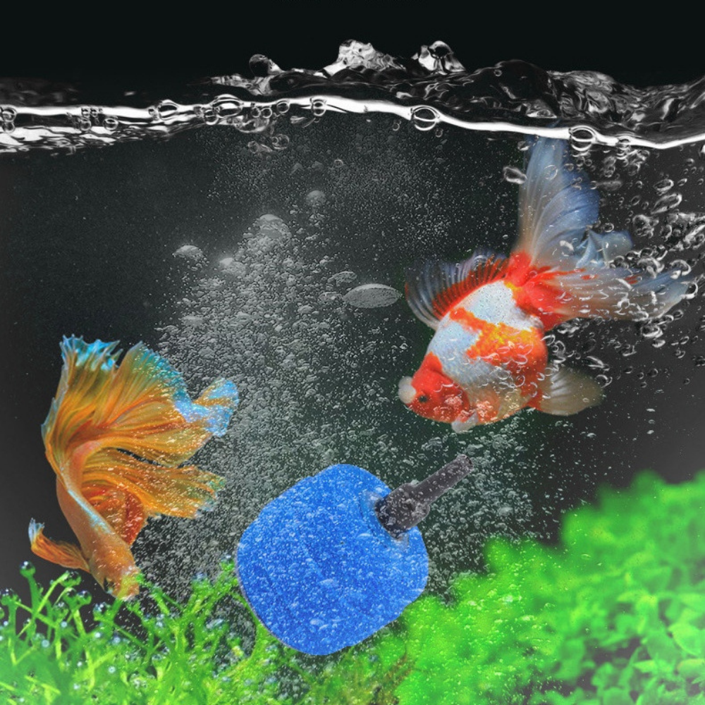 Various Sizes Round Aquarium Air Stones Cylinder Bubble Diffuser Airstone Fish Tank Bubbler