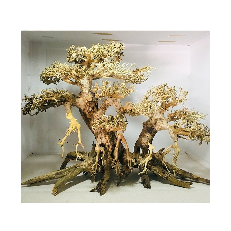 Available bonsai Driftwood Tree for Aquarium Aquascape, fish tank decoration WhatsApp: +84 961005832