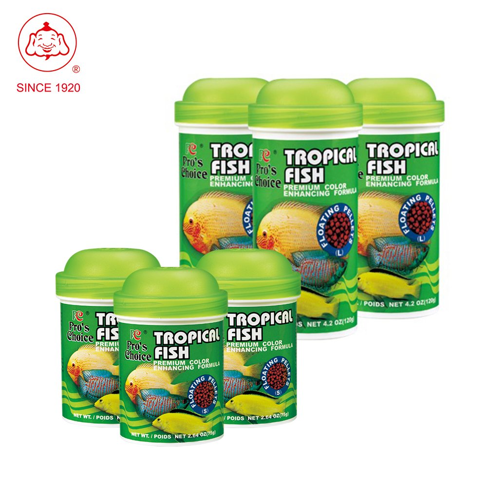 Balanced manufacturer fishing feed ship for aquarium fish